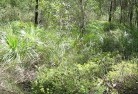 Irymple NSWsustainable-landscaping-21.jpg; ?>